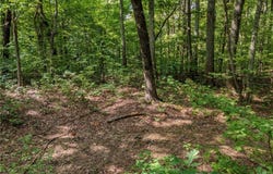 Clearview Drive, Jasper, GA 30143