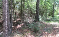 N Joe Dyess Road, Carson, MS 39427