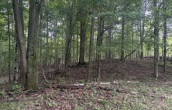 18611 St. Pierre Road, Arcadia, MI 49613