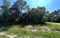 2515 Oleander Ter, Lanark Village, FL 32323