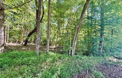 384 RIVERVIEW Lane, Lexington, NC 27292