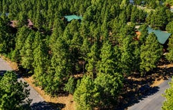 711 Pine Creek Drive, Lakeside, AZ 85929