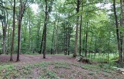 Mitchell Road, Thornton, NH 03223