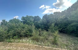 RS Private Road 6372, Alba, TX 75410