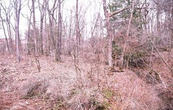 Piney Road, Clarion, PA 16214