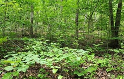 b010 Lakeview Trail, HOLLADAY, TN 38341