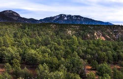 Gallina Canyon, Valdez, NM 87571