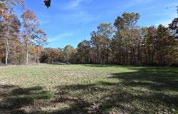 Kelsay Rd, Hartville, MO 65667