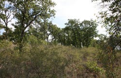 D69 Hensley Road, Gordon, TX 76453