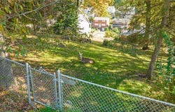 0-B Seward St, Mt Washington, PA 15211