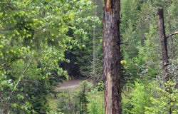 NNA Silver Ave, Bayview, ID 83803