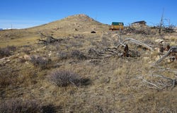 654 Horse Mountain Dr, Livermore, CO 80536