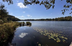 3088 E Lake Dr, Gladewater, TX 75645