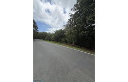 Cedro Abajo, Naranjito, PR 00719
