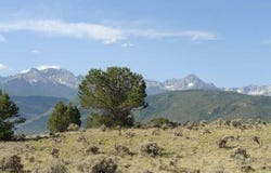 Terrace Drive, Ridgway, CO 81432