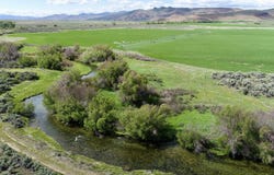428 Cutoff Road, Picabo, ID 83348