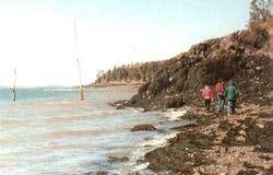 Mill Creek Lane, Lubec, ME 04652