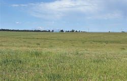 Parcel 4 County Road 33, Elbert, CO 80106