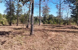 Polk Road 676, Mena, AR 71953