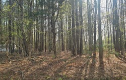 PINE MEADOWS WAY lot: 2, EXMORE, VA 23350