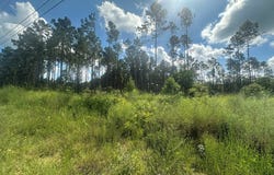 FM 1005, Jasper, TX 75951