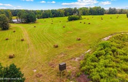 1725 Claud Fleahop Rd, Eclectic, AL 36024