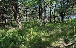 004 N Wade, Bennington, OK 74723
