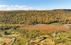 Halsey Valley Rd, Spencer, NY 14883