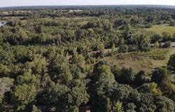 FM 195, Bagwell, TX 75412