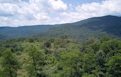 Linwood Rd, Slatyfork, WV 26291