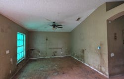 2408 Umbrella Tree Drive, Edgewater, FL 32141