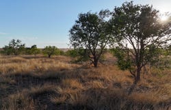 C R 5400, Lubbock, TX 79415