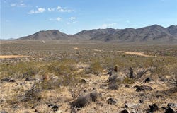 316-05-018 June, Dolan Springs, AZ 86441