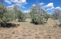2901 N Cienega Drive, Ash Fork, AZ 86320
