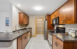 8206 Starr Grass Drive, Madison, WI 53719