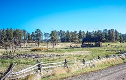 43393 Road M, Mancos, CO 81328