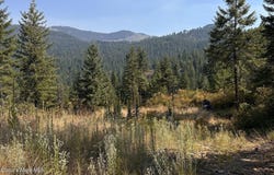 Stonegate Drive lot: 2, Priest River, ID 83856