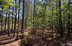 5 AC Terry Drive Highway, Union, SC 29379