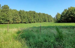 Finch Rd, GLEASON, TN 38229
