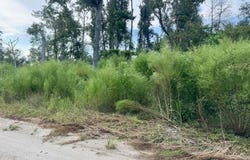 LT606 SW 74TH TRAIL, Jasper, FL 32052