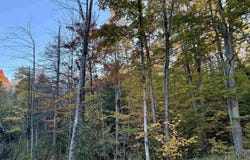 V/L E 30 Road, Cadillac, MI 49601