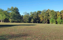 3694 CR 5320, Pomona, MO 65789