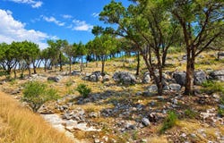 49 S Ridge, Concan, TX 78838