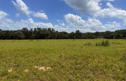 5767 FM 2339, Murchison, TX 75778