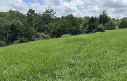 FISHPOND RD, HOWARDSVILLE, VA 24562