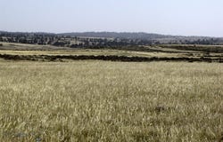 Lindstrom Road, Shepherd, MT 59079
