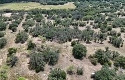 178 County Road 199, Mullin, TX 76864