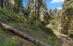 146 Starview PL, Boulder Creek, CA 95006