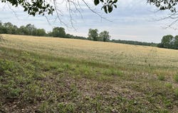 Bodie Road, Pelion, SC 29123