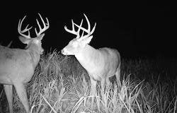 5th Rd, Raymond, KS 67573